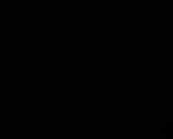 856261 B