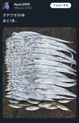 1189604 B