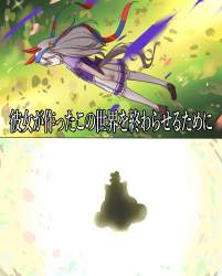 955895 B