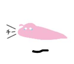 13838 B