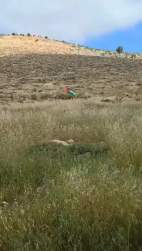 3027922 B