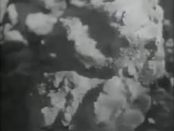 2050886 B
