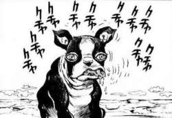 40197 B