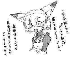 44291 B