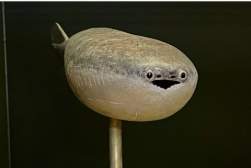 21219 B