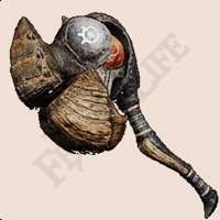 14442 B