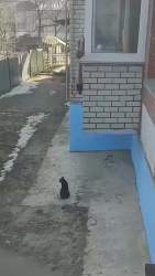 1707444 B