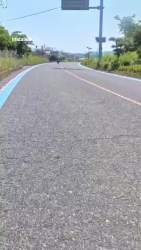 7250518 B