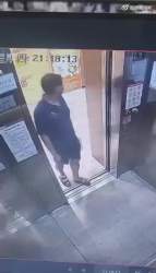 1233537 B