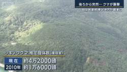 727254 B