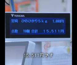 204743 B