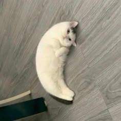 8030 B