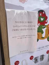4553462 B