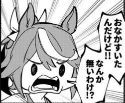 33548 B