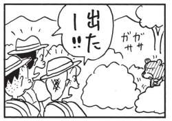 39534 B