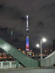 4625016 B