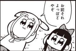 46516 B