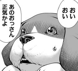 602262 B