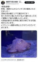 1183952 B