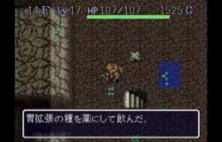 3113355 B