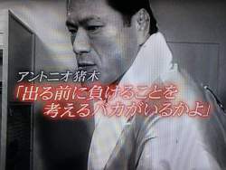 36244 B