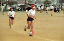 215499 B