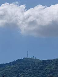 1258099 B