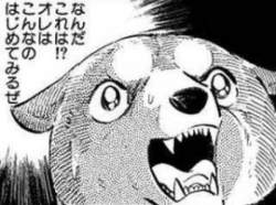 50389 B