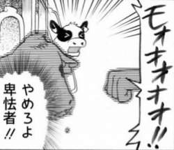 26987 B