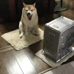 1429592 B