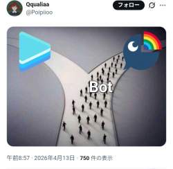 55956 B