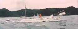 2018262 B