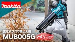 259717 B