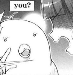 21036 B