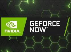 80269 B