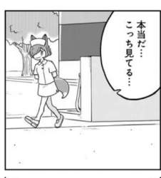 16034 B