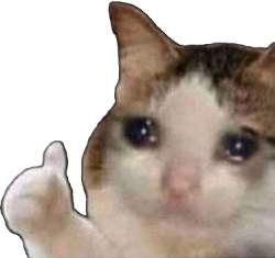 26264 B
