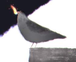 852209 B