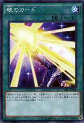 57551 B