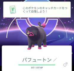 77868 B