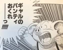 250586 B