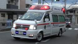 57541 B