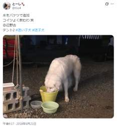 459595 B