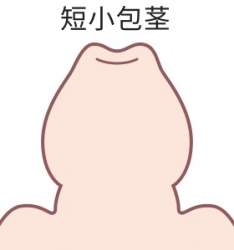 10548 B