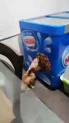 1342948 B