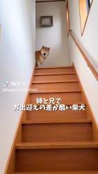 4279679 B