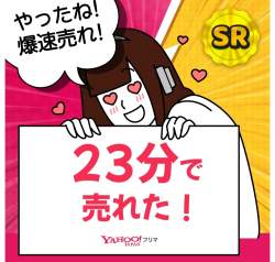 253856 B