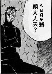 231253 B