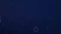 8163868 B