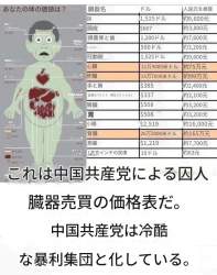 104087 B